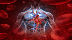 دراسة: النمط الغذائي يؤثر على الأوعية الدموية و"الأمراض الرئيسية"