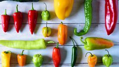 “الفلفل الإندونيسي” ..احدث اكتشاف في علاج COVID-19