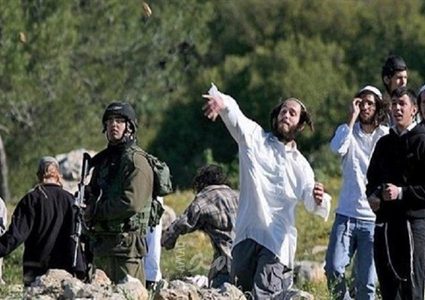 مستوطنون يعتدون على شاب جنوب الخليل