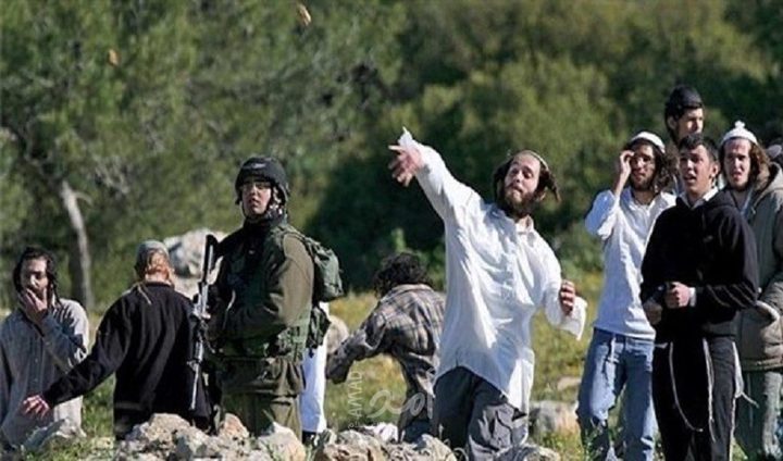 مستوطنون يعتدون على شاب جنوب الخليل
