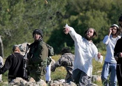 نابلس:مستوطنون يتلفون سياجا ومعدات زراعية في المسعودية