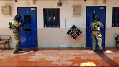 هيئة الأسرى: الأشبال في سجن "الدامون" بخير