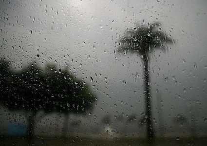 الطقس: أجواء شديدة البرودة وعاصفة وتساقط أمطار غزير