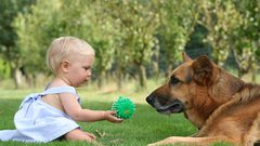 امتلاك كلب يقلل من إصابة الأطفال بمرض الأكزيما