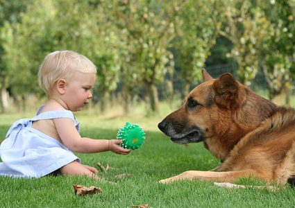 امتلاك كلب يقلل من إصابة الأطفال بمرض الأكزيما