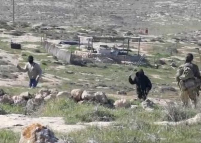 مستوطنون يعتدون على مسن أثناء رعيه الأغنام غرب أريحا