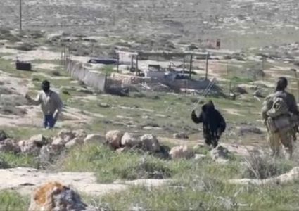 مستوطنون يعتدون على مسن أثناء رعيه الأغنام غرب أريحا