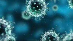 علماء: بروتين مانع لفيروس كورونا موجود في رئتي الإنسان