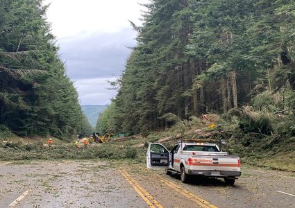 الحكومة النيوزيلندية تعلن حالة الطوارئ بسبب إعصار عنيف