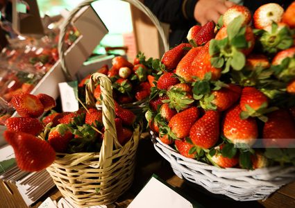 "الزراعة" والاتحاد الأوروبي ينظمان مهرجان "يوم الفراولة" في رام الله