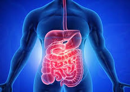 "حبوب ذكية" تحدد مشاكل الجهاز الهضمي