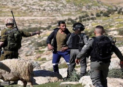 مستوطنون يلاحقون الرعاة قرب خلة مكحول في الأغوار الشمالية