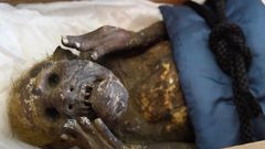 الكشف عن حقيقة مومياء "حورية البحر المعبودة" في اليابان يصيب الكثيرين بالصدمة