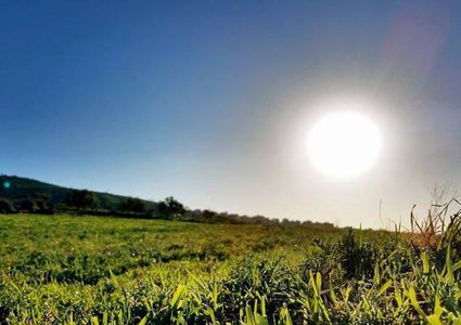 الطقس: ارتفاع طفيف على درجات الحرارة