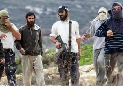 مستوطنون يقتحمون خربة الحفيرة جنوب جنين