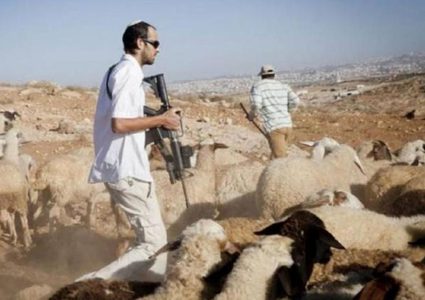 مستوطنون يلاحقون الرعاة في الفارسية