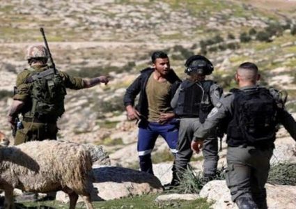 مستوطنون يجبرون رعاة الأغنام في المعرجات على ترك المراعي