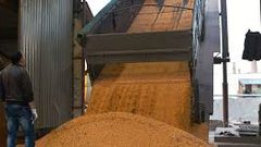 الأمم المتحدة: نتوقع تمديد صفقة تصدير الحبوب من أوكرانيا