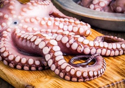 أخطر الأكلات حول العالم.. منها محار الدم والأخطبوط الحي