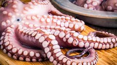 أخطر الأكلات حول العالم.. منها محار الدم والأخطبوط الحي