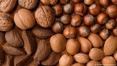 مواد غذائية تحسن مستوى الكوليسترول في الدم