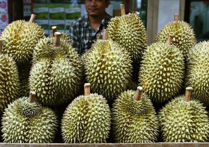 فاكهة غريبة محظورة في المطارات والفنادق والنقل العام