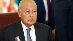 أبو الغيط: مجلس الأمن يستطيع توفير حماية للشعب الفلسطيني عبر الفصل السابع