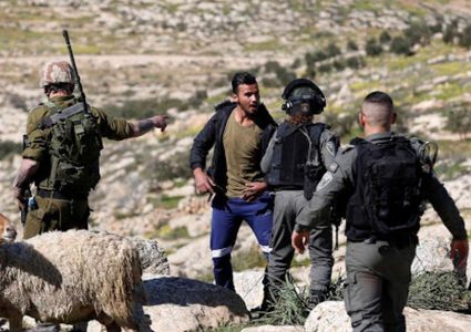 مستوطنون يعتدون على رعاة الأغنام جنوب الخليل