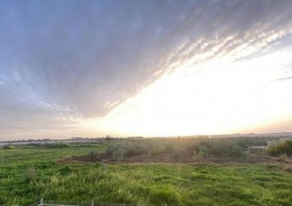 الطقس: أجواء ربيعية لطيفة اليوم وغداً ومنخفض جديد الأحد المقبل