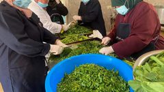 أثناء تجهيز وجبة الإفطار من تكية بيتا الخيرية