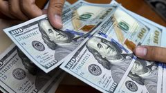 العملات: استقرار سعر صرف الدولار