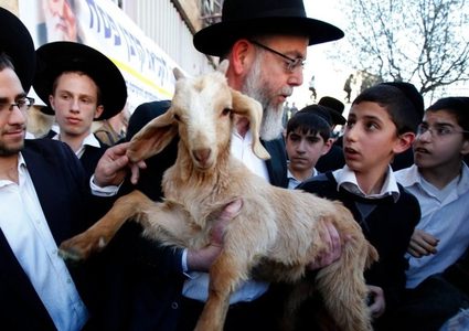 حاخامات يطالبون ذبح قرابين عيد الفصح في باحات الأقصى