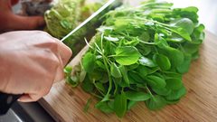 تعرف على فوائد "الجرجير" في رمضان