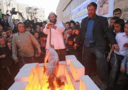 تدريبات على ذبح "القرابين" في الأقصى اليوم