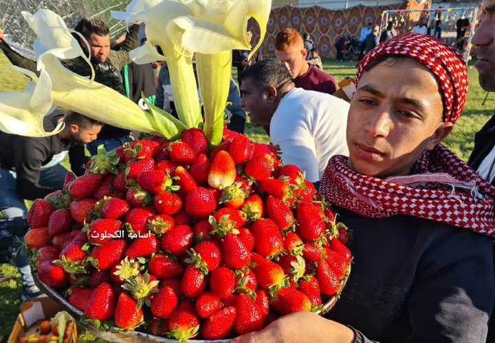 اللمة اللهوانية: مبادرة إفطار جماعي في بيت لاهيا شمال قطاع غزة