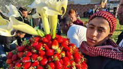 اللمة اللهوانية: مبادرة إفطار جماعي في بيت لاهيا شمال قطاع غزة