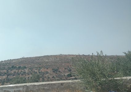 تجريف عشر دونمات من اراضي ياسوف