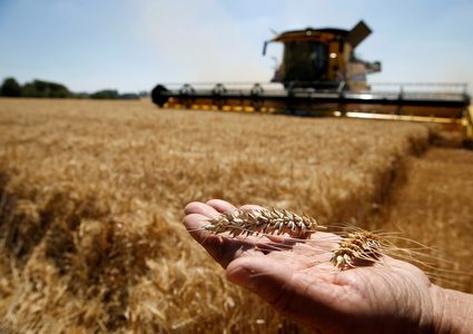 روسيا قد تكرر في مصر تجربة البرازيل في لبنان.. فما هي المقومات؟