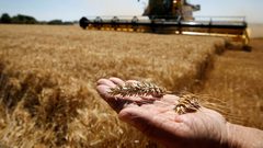 روسيا قد تكرر في مصر تجربة البرازيل في لبنان.. فما هي المقومات؟