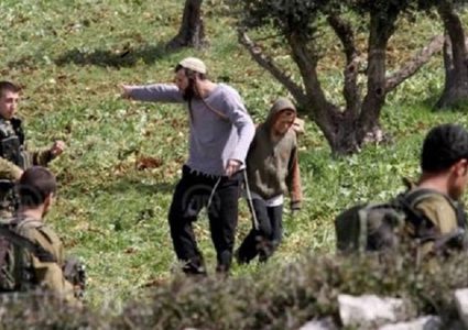 مستطونون يحرقون بيوتا بلاستيكا في بيت دجن