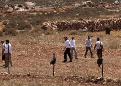 مستوطنون يعتدون على ممتلكات المواطنين في الأغوار الشمال