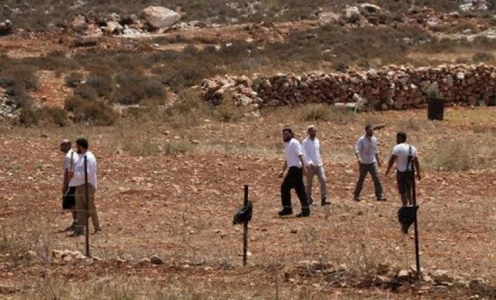 مستوطنون يعتدون على ممتلكات المواطنين في الأغوار الشمال