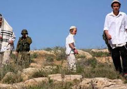 مستوطنون يعتدون على المواطنين ويذبحون أغناما جنوب الخليل