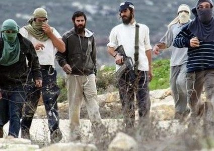 مستوطنون يهاجمون منازل المواطنين في تجمع عين الحلوة