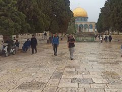 توافد المصلين ، اليوم الثلاثاء،لأداء صلاة الظهر في المسجد الأقصى المبارك