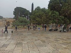توافد المصلين ، اليوم الثلاثاء،لأداء صلاة الظهر في المسجد الأقصى المبارك
