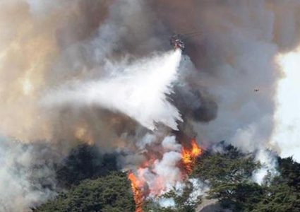 حرائق الغابات تجتاح نحو مئة منزل في كوريا الجنوبية