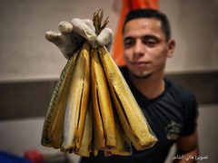 تحضير سمك "الرنجة" المدخن في غزة قبيل عيد الفطر