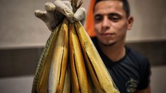 تحضير سمك "الرنجة" المدخن في غزة قبيل عيد الفطر