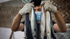 تحضير سمك "الرنجة" المدخن في غزة قبيل عيد الفطر